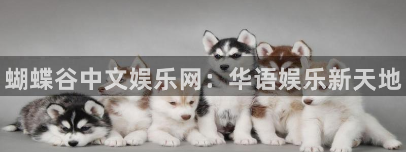 天天中彩app最新版