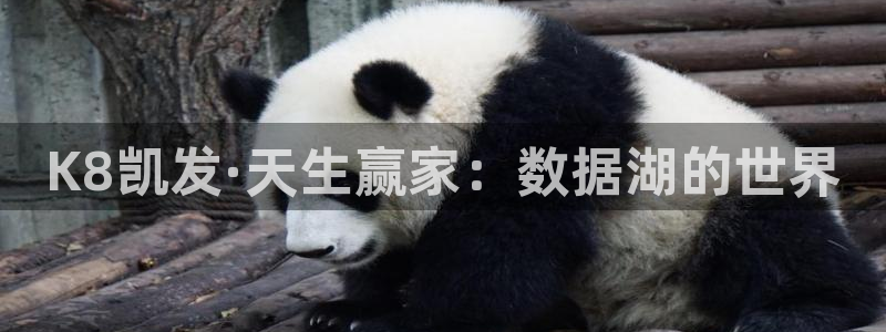 尊龙凯时人生就是搏z6