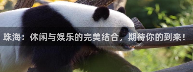 尊龙凯时人生就是搏官网