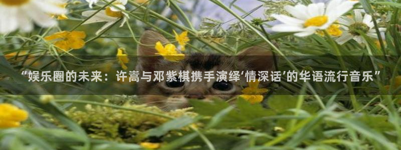 人生就是搏