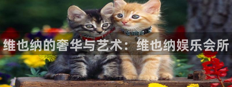 z6com(尊龙)人生就是搏股份有限公司