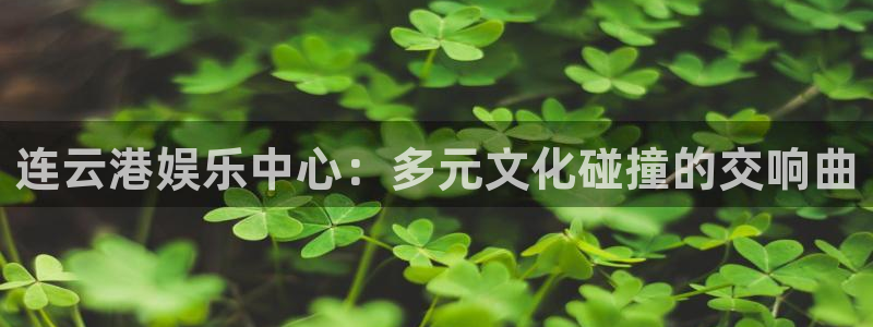 尊龙时凯人生就是搏官网登录：连云港娱乐中心：多元文化碰撞的交响曲