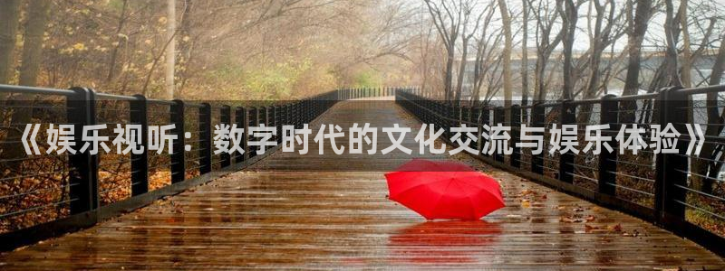 尊龙凯时·人生就是搏：《娱乐视听：数字时代的文化交流与娱乐体验》