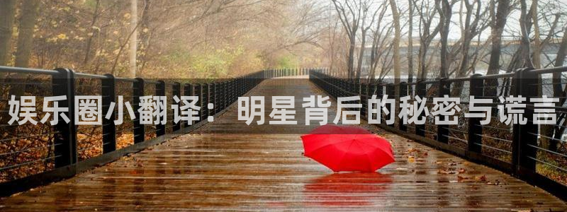 人生就是搏手机版：娱乐圈小翻译：明星背后的秘密与谎言