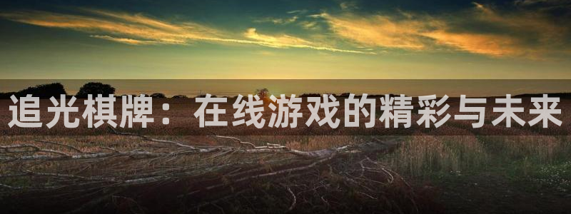 天天中彩app最新版：追光棋牌：在线游戏的精彩与未来