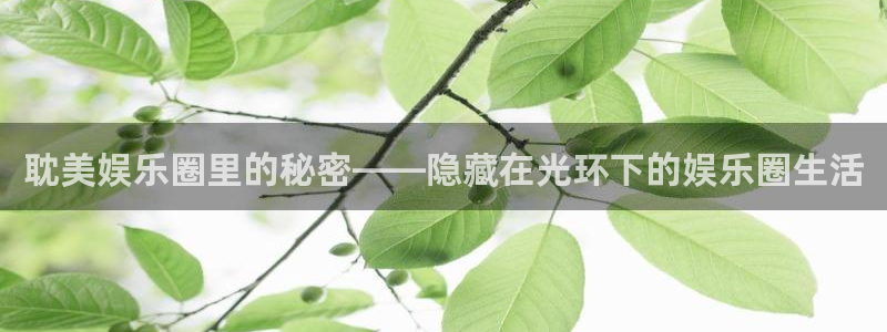 天天中彩app最新版：耽美娱乐圈里的秘密——隐藏在光环下的娱乐圈生活
