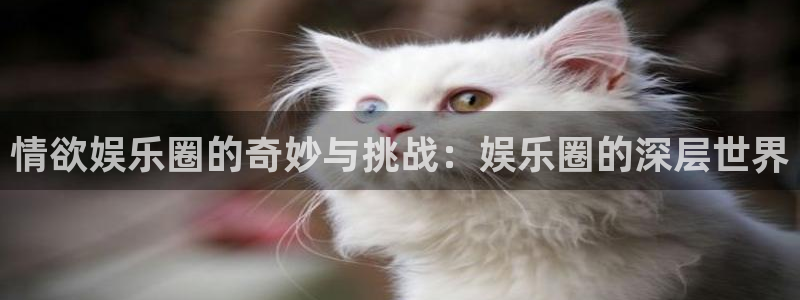 尊龙凯时人生就是搏z6com：情欲娱乐圈的奇妙与挑战：娱乐圈的深层世界