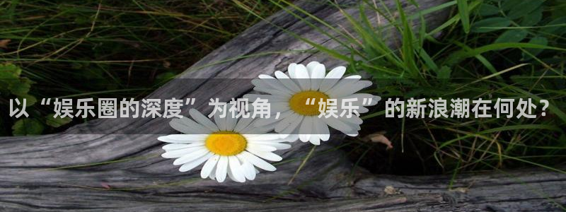 尊龙凯时人生就是搏官网：以“娱乐圈的深度”为视角，“娱乐”的新浪潮在何处？