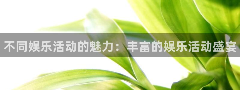 尊龙凯时人生就是搏官网：不同娱乐活动的魅力：丰富的娱乐活动盛宴