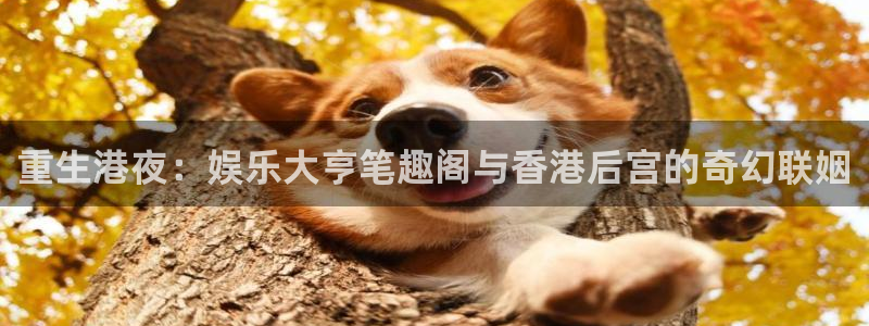 pa 尊龙凯时 - 人生就是搏!：重生港夜：娱乐大亨笔趣阁与香港后宫的奇幻联姻