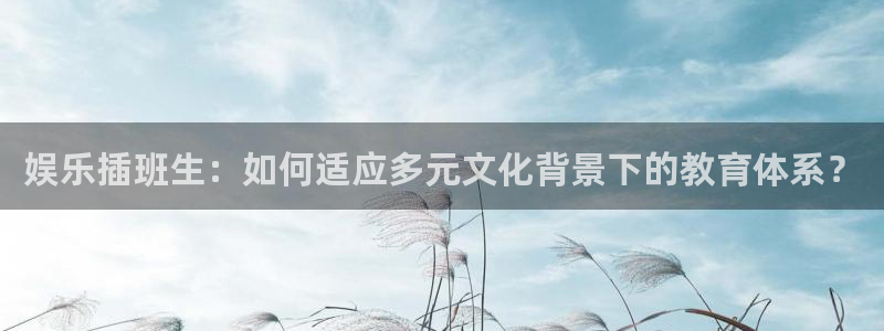 pa 尊龙凯时 - 人生就是搏!：娱乐插班生：如何适应多元文化背景下的教育体系？