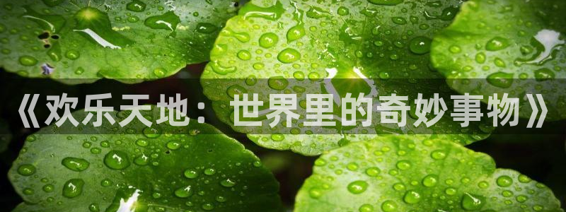 凯龙尊时一人生就是搏：《欢乐天地：世界里的奇妙事物》