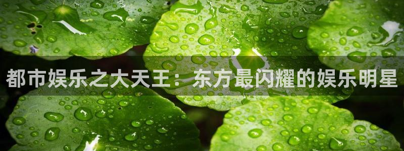 pa 尊龙凯时 - 人生就是搏!：都市娱乐之大天王：东方最闪耀的娱乐明星