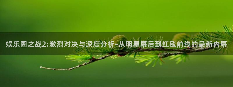 凯龙尊时一人生就是搏：娱乐圈之战2:激烈对决与深度分析-从明星幕后到红毯前线的最新内幕