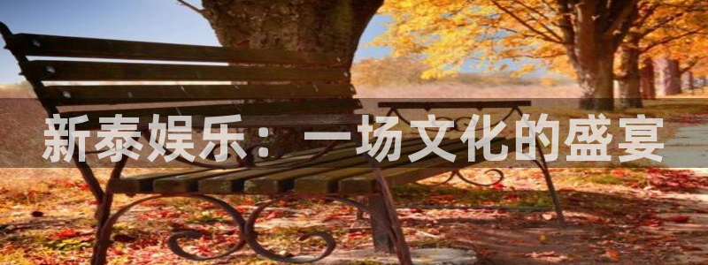 尊龙时凯人生就是搏官网：新泰娱乐：一场文化的盛宴