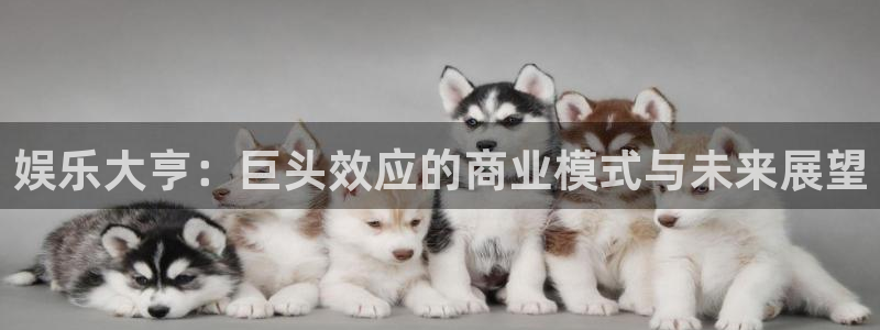 尊龙凯时·人生就是搏：娱乐大亨：巨头效应的商业模式与未来展望